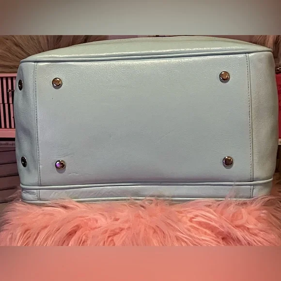 🐶Juicy Couture Dog Carrier - Picture 10 of 15